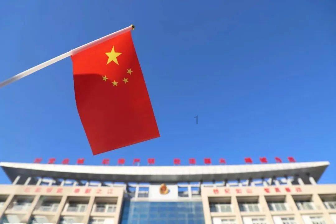 芦荟好养活吗？游戏画面